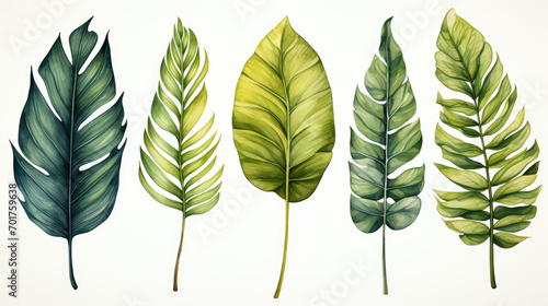 Tropical palm leaves set on white background. Watercolor hand-painted, summer clipart