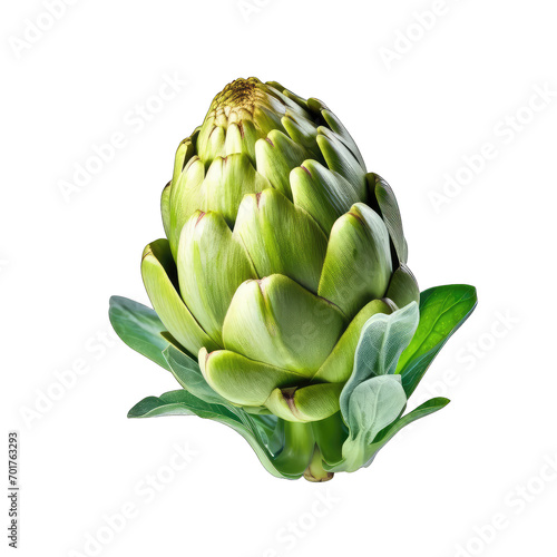 Artichoke isolate on transparent background, png file