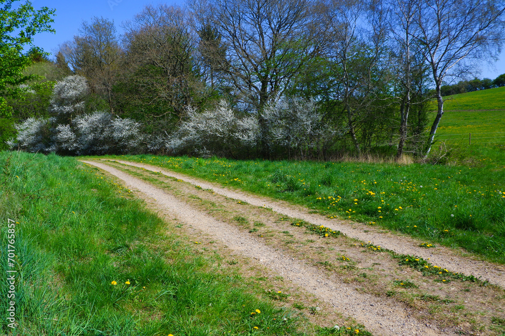 Obraz premium View of dirt road in countryside near the pond.