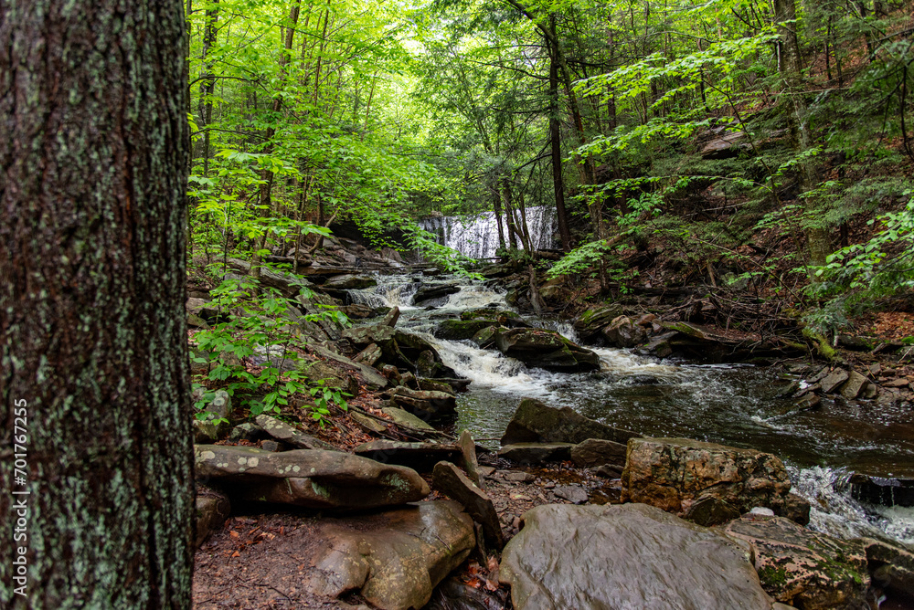 Obraz premium Cascades following Oneida Falls