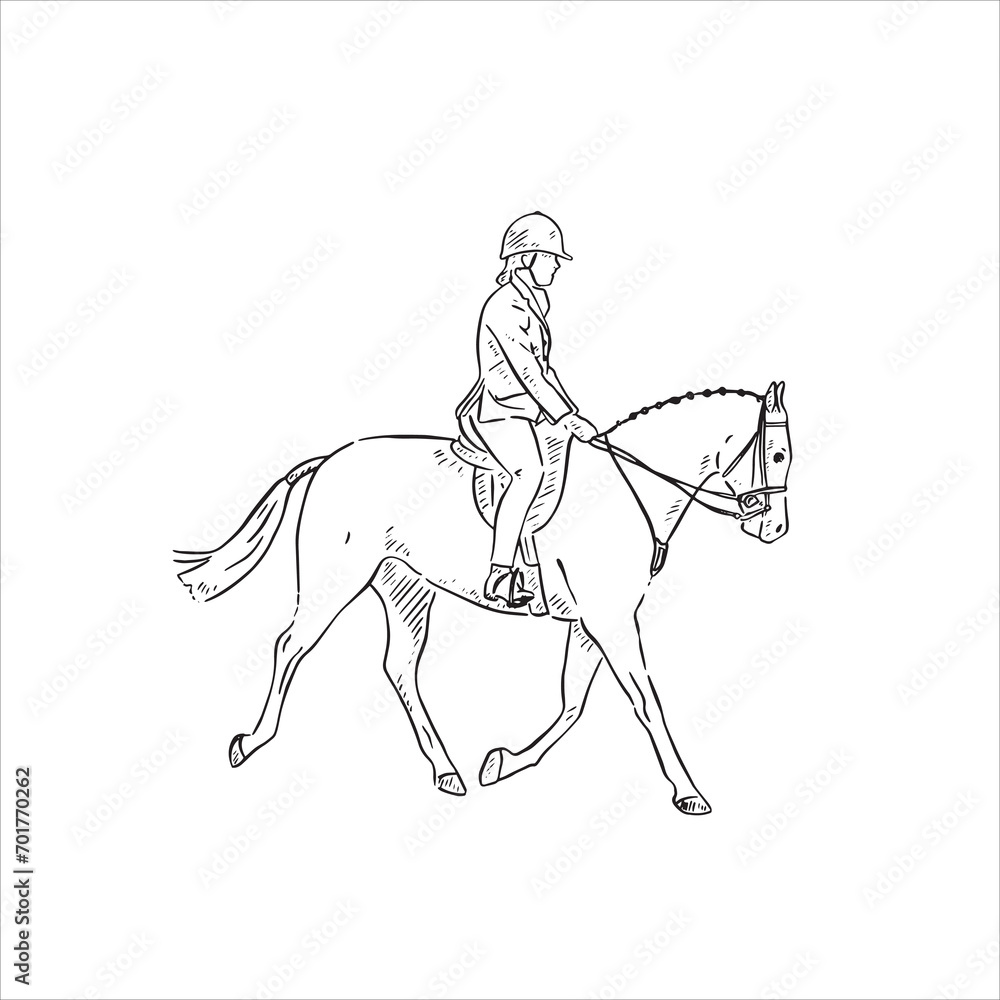 A line drawn side profile illustration of a lady riding a horse. Drawn by hand in a black and white sketchy style. A line drawn side profile illustration of a lady riding a horse. Drawn by hand in a black and white sketchy style.
