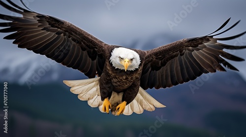 A bald eagle flying in the air