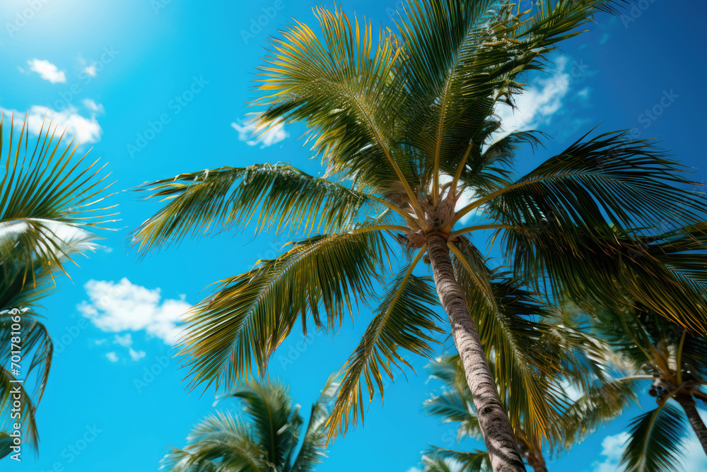 Blue sky with clouds and a view of palm trees from below. Tropical beach and summer background, travel and vacation concept