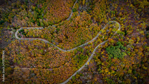 Stunning aerial view of road with curves crossing dense forest in autumn colors