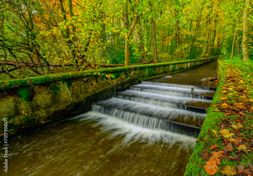 water steps in the autumn forest