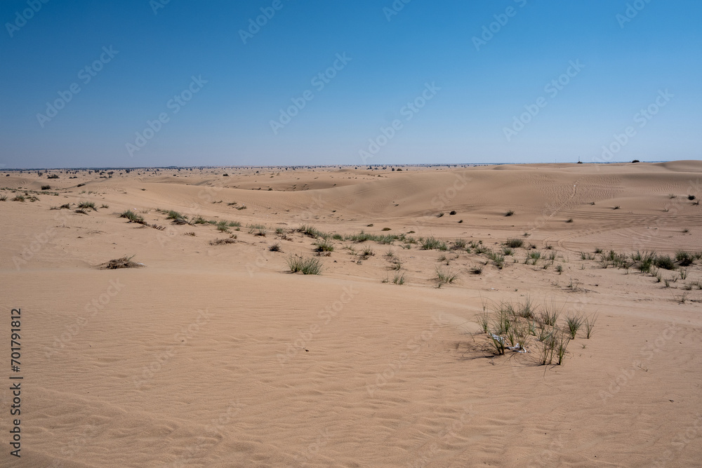 Al Qudra empty quarter seamless desert sahara in Dubai UAE middle east with wind paths and sand dunes hills under gray cloudy sky Al Qudra empty quarter seamless desert sahara in Dubai UAE middle east with wind paths and sand dunes hills under gray cloudy sky
