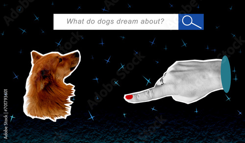 Composite collage with a dog's head against the background of the starry sky. The concept of responsible attitude towards pets photo