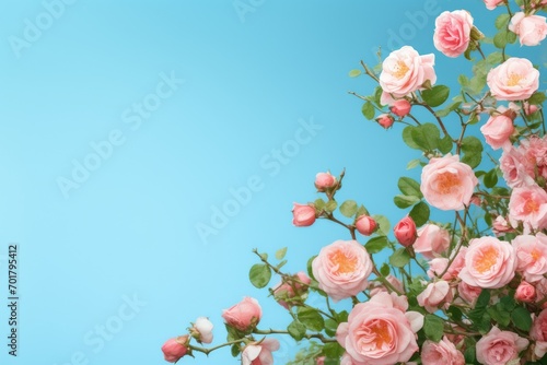Bouquet of pink roses on a blue background with copy space, AI Generated