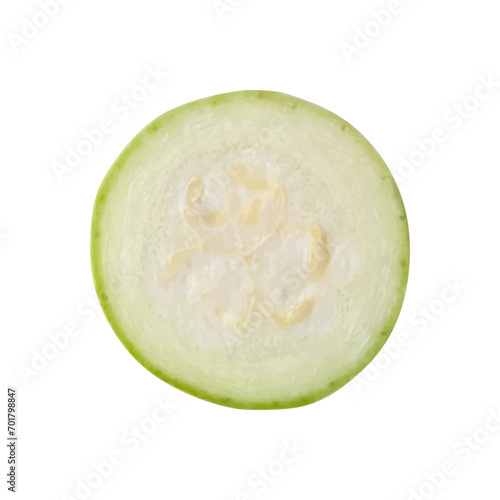 Flying marrow zucchini slices isolated on white background. Falling pieces of marrow vegetable. Can be used for advertising, packaging, banner, poster, print. Realistic 3d vector