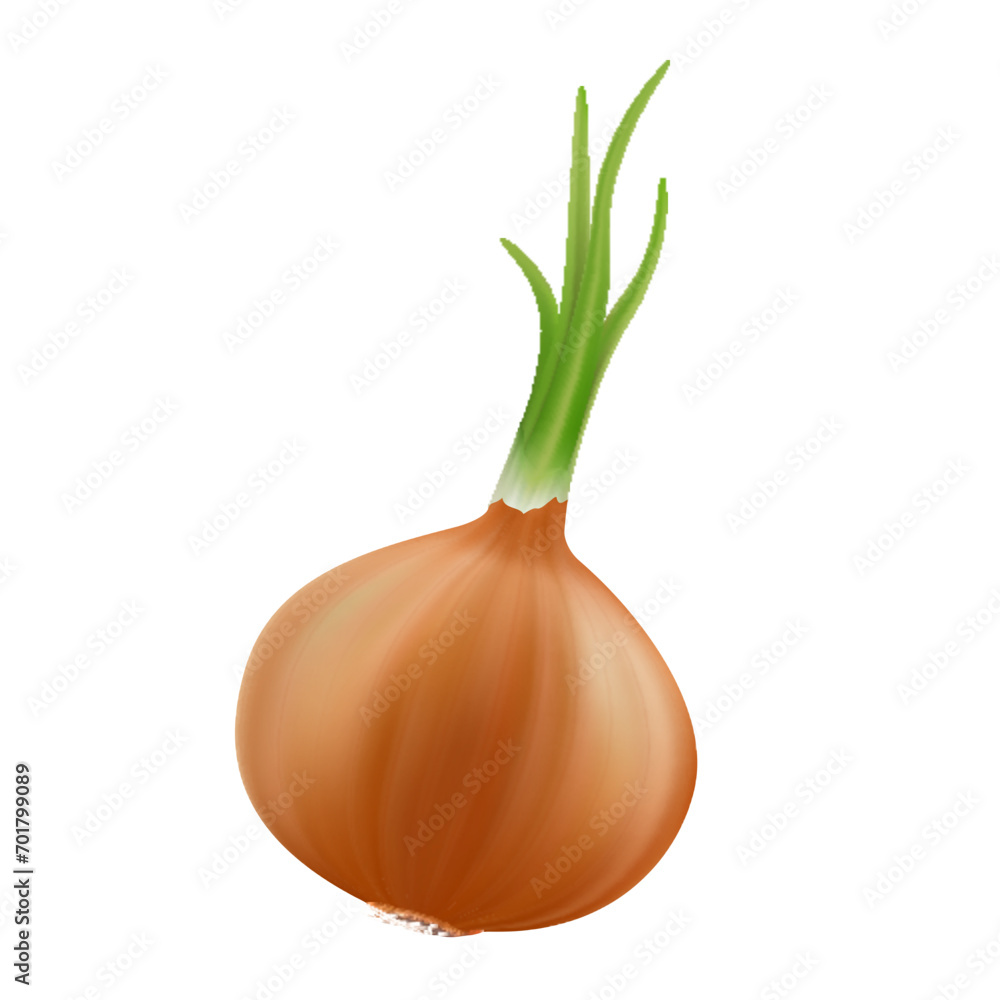 Onion, isolated on white background. Realistic 3D Vector illustration