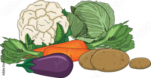 Vector illustration showing brinjal, cauliflower, potato, carrot