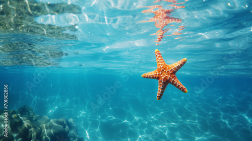 star fish in the sea water absracat background © Muzamil
