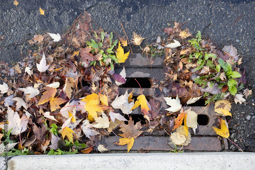 Autumn leaves blocking storm drain on roadway corner