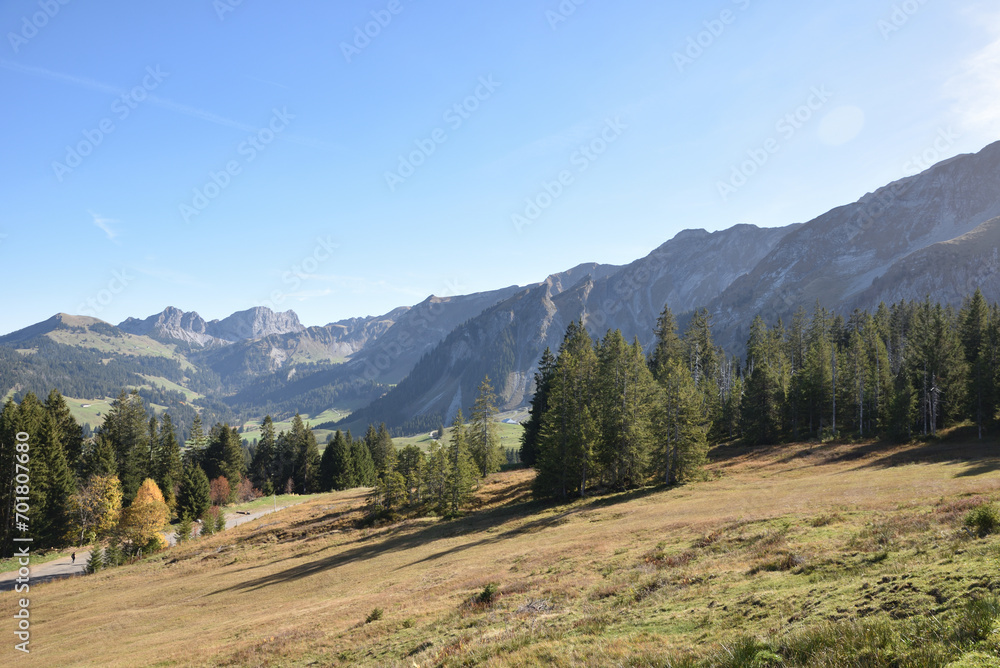 Wandern in Sörenberg Wandern in Sörenberg