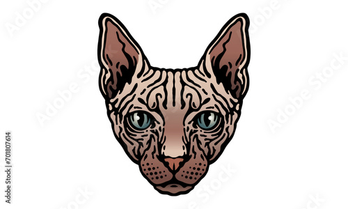 Sphynx_Cat_on_white_background