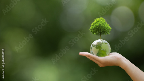 Hand of human holding Crystal globe ball with tree for ESG, co2, and net zero. World sustainable environment concept. Save our Planet, World Environment Day, World Earth Day and Climate change.