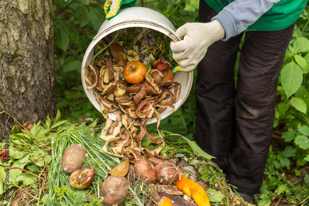 Compost heap pile with bio waste. Farmer gardener hands put weeds grass