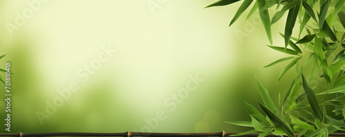 Zen bamboo leaves background,created with Generative AI tecnology.