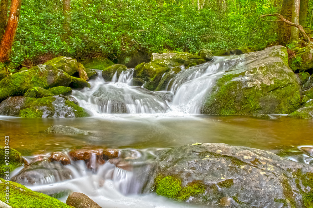 Fototapeta premium Landscape