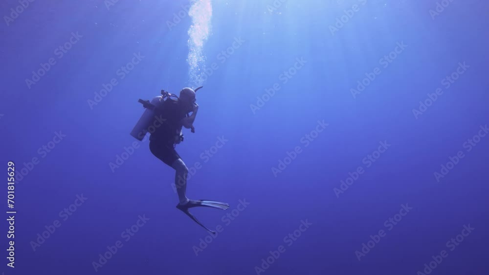 custom made wallpaper toronto digitalstill view of a scuba diver student trying to do Frenzel equalize pressure in the head by squishing the nose to go down deeper into the ocean blue sea salt water underwater world during day time