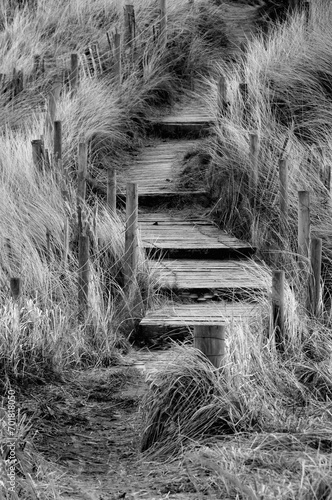 Wooden steps through sand dunes leading down to a beach