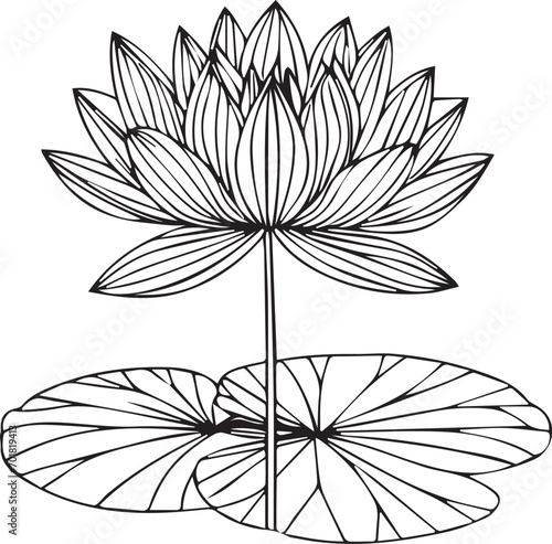 outline water lily drawing, tattoo outline water lily drawing, Japanese water lily tattoo design, July birth flower water lily tattoo, water lily larkspur July birth flower tattoo