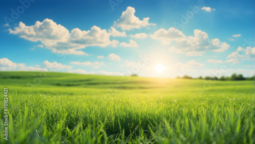 field and blue sky Wide format grass background, Neatly trimmed grass carpet photos, Beautiful grass texture images, Bright green mowed lawn visuals, Green grass field stock photos © Gohgah