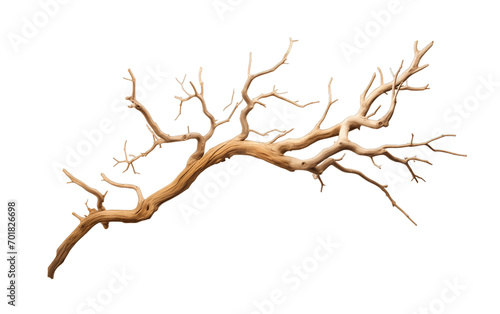 Dry tree branch isolated on transparent background. PNG file, cut out