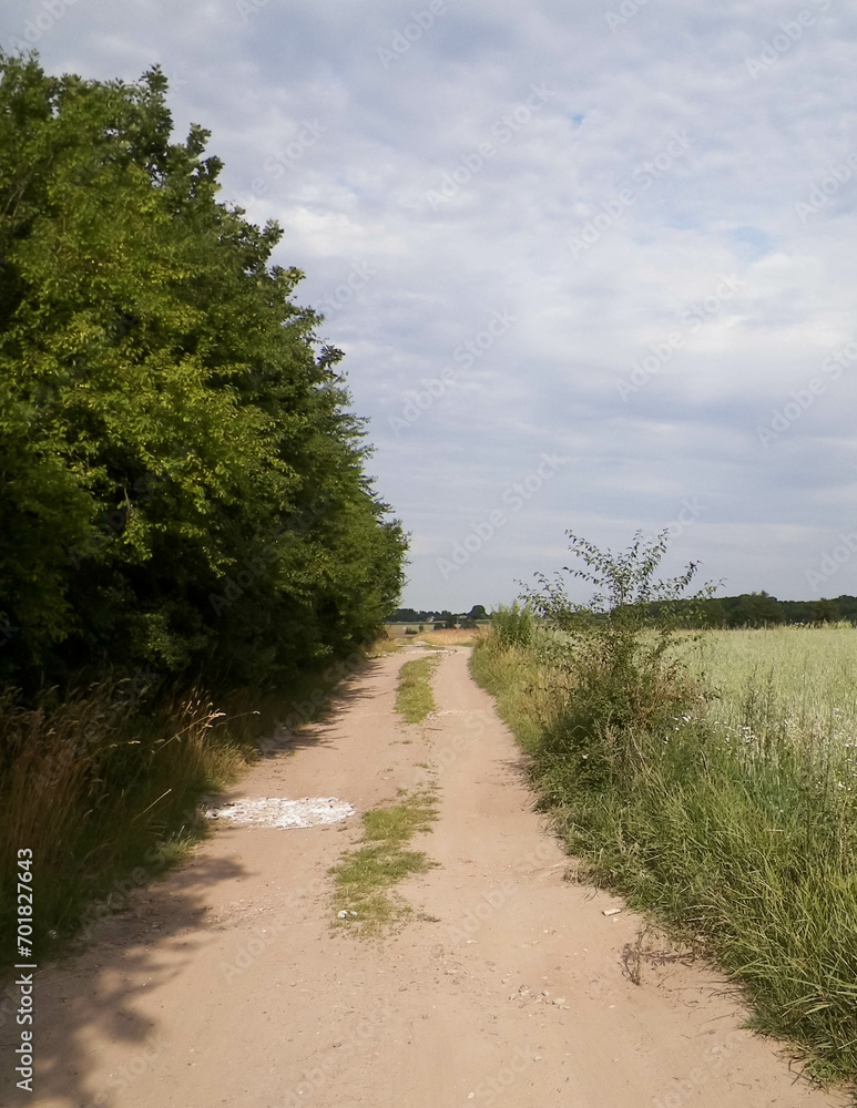 Road over fields in Kashubia. Poland Road over fields in Kashubia. Poland