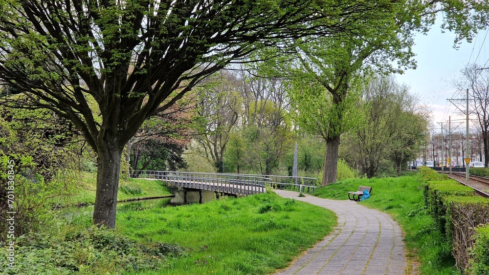 Beautiful spring landscape in the city park, with a footbridge over a canal, trees and green grass.