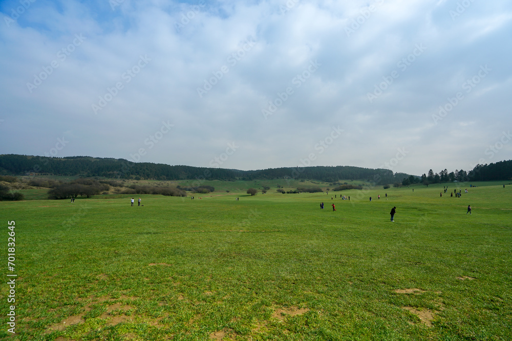 Many tourists are playing and relaxing on the vast green grassland. Fairy Mountain National Forest Park, Wulong County, Chongqing, China.