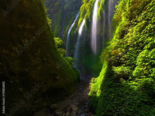 Tableau sur toile Aerial view of Madakaripura Waterfall in a green canyon located in East Java, In