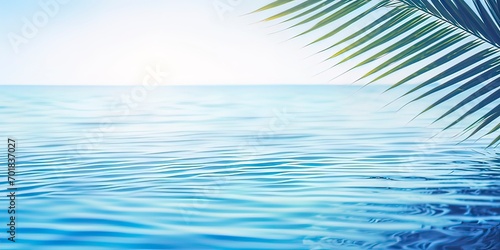 palm leaf isolated on sunny blue rippled water surface, summer beach holidays background concept with copy space © Thanthara