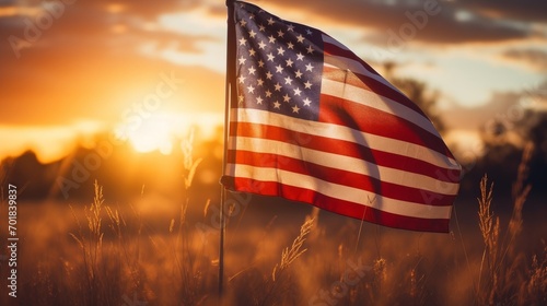 The flag of the United States of America flutters in nature among beautiful flowers against the backdrop of the setting sun.