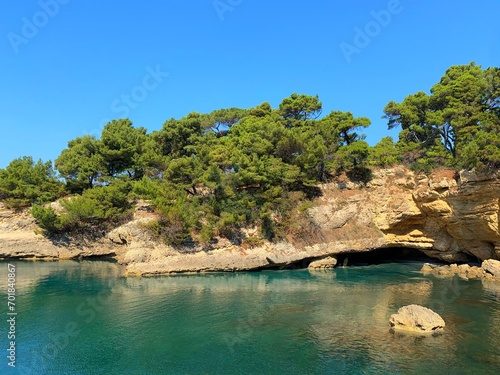 Montenegro Adriatic sea rocky coast overgrown pine trees.
