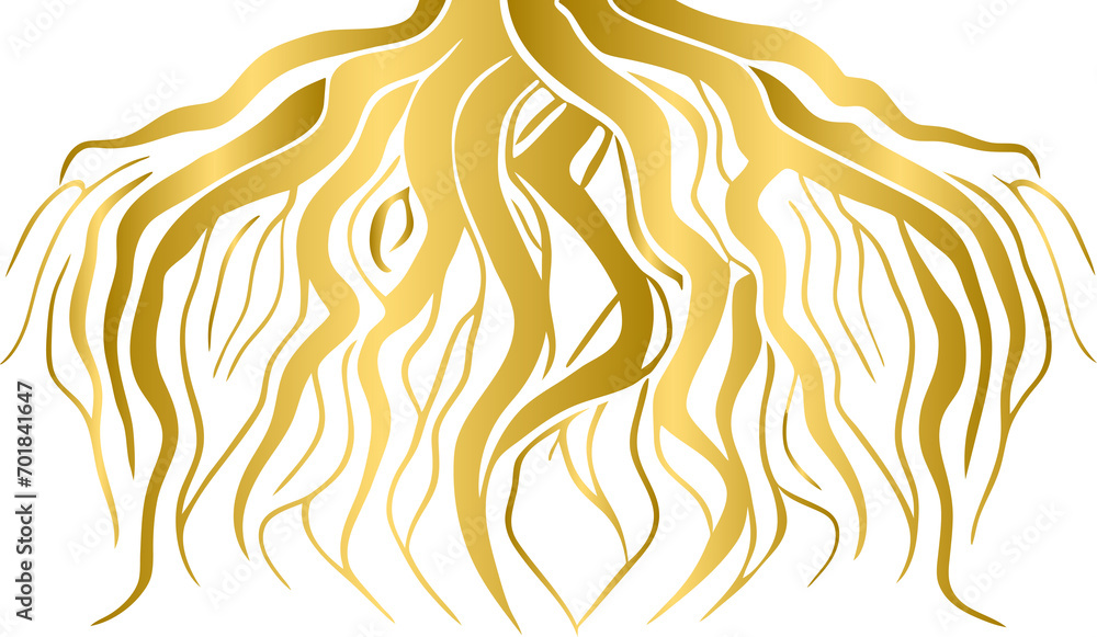 Naklejka premium Golden root, gold tree root