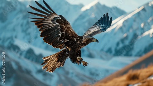 Wildlife Photography, eagle in flight, close-up shot, mountain range, majesty, clear sky lighting.