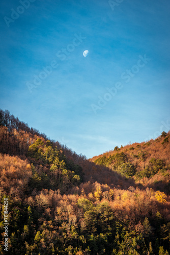 autumn in the mountains