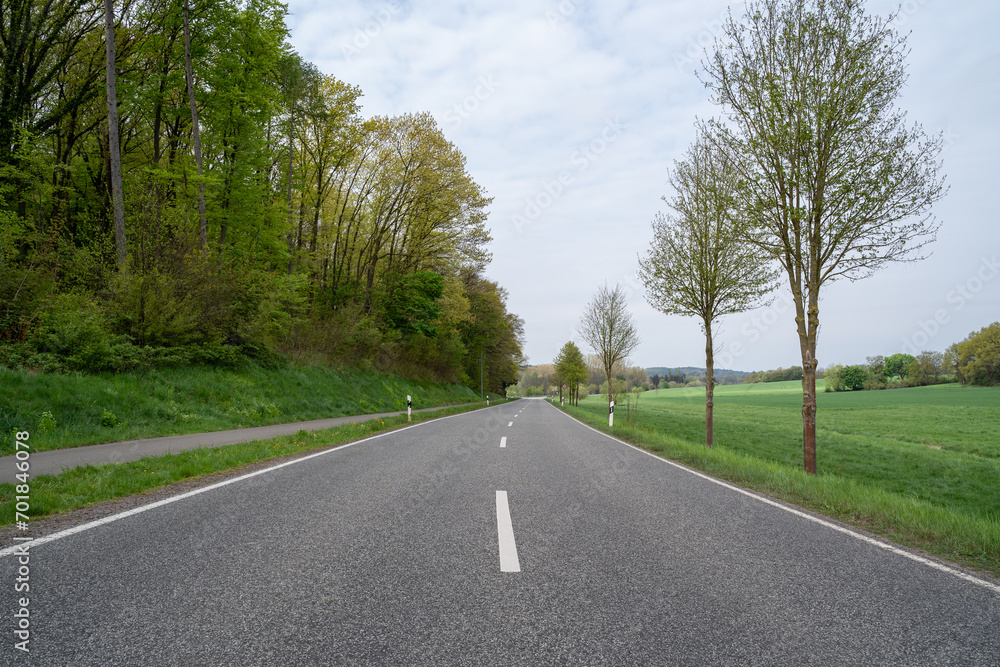 Fototapeta premium Road in the landscape with trees and grass