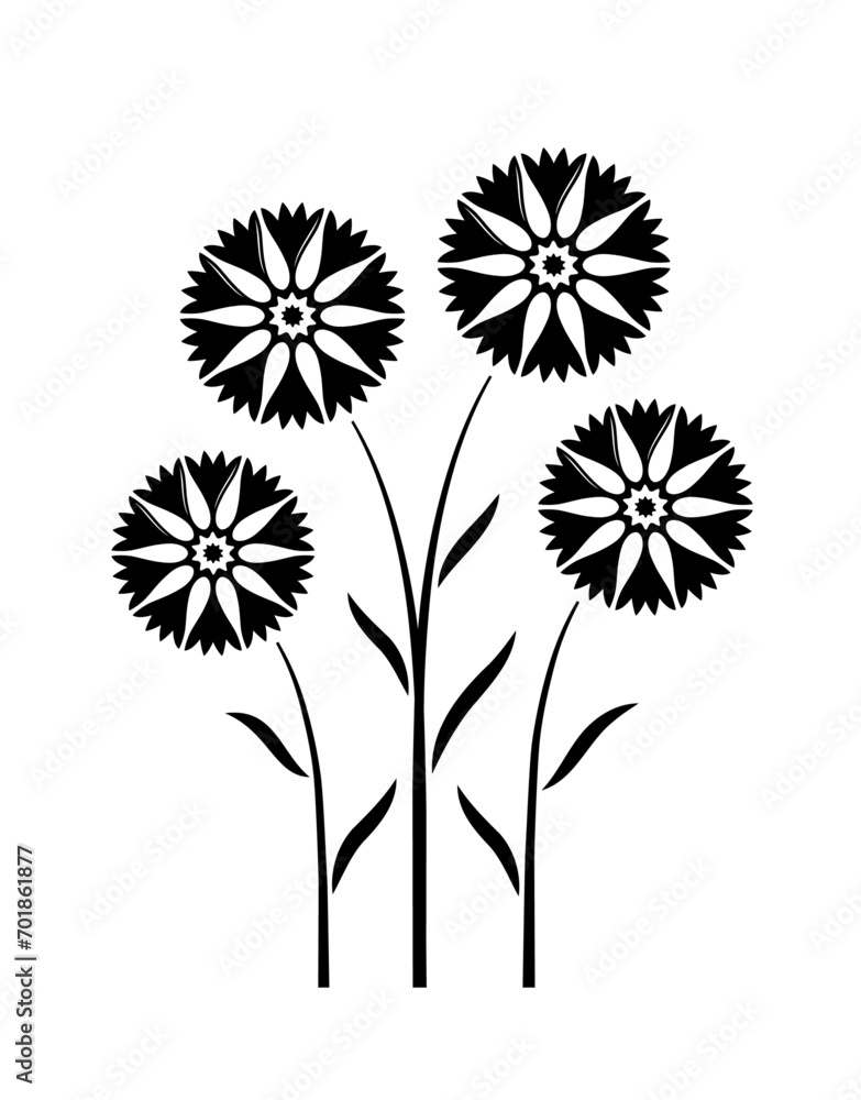 Obraz premium cornflowers isolated on white background