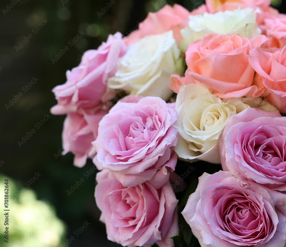 Beautiful bouquet of aromatic roses outdoors, closeup Beautiful bouquet of aromatic roses outdoors, closeup