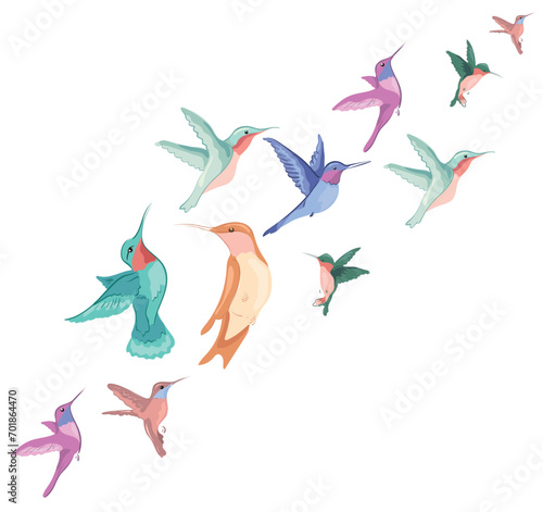 Hummingbirds of different sizes and different colors fly in the wind. Vector image for postcard, design, banner, website.
