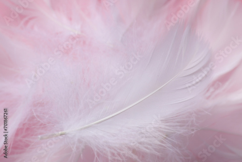 Many fluffy white feathers as background  closeup