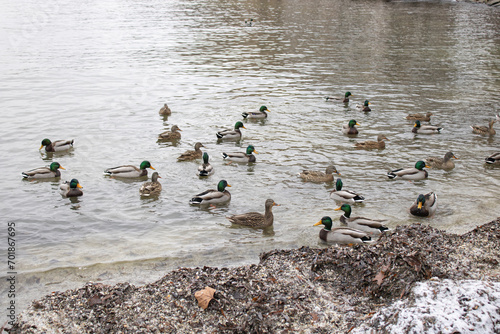 Nature around Lake Ontario in Etobicoke