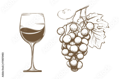 Glass with wine and grapevine in sketch style. Isolated on a white background. Stock vector illustration