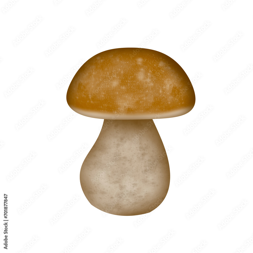 Fototapeta premium Cèpe Champignons