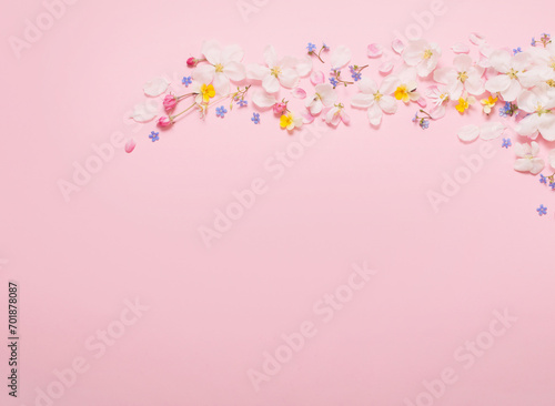 spring flowers on pink background