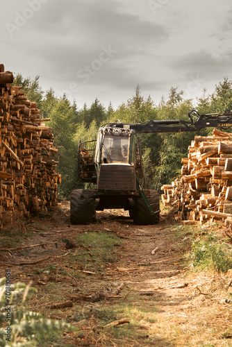 Industrial machinery moving cut logs at Ilton, England. photo