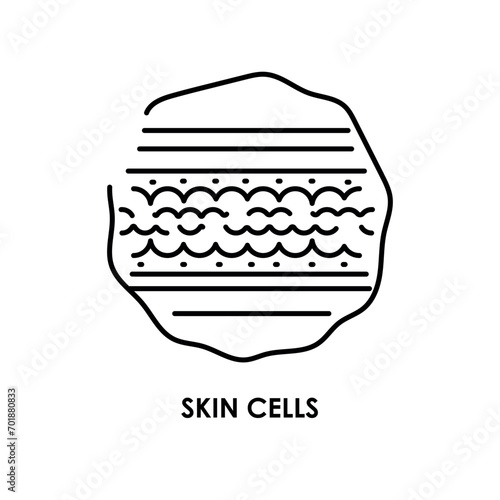 Skin cells color line icon. Microorganisms microbes, bacteria.