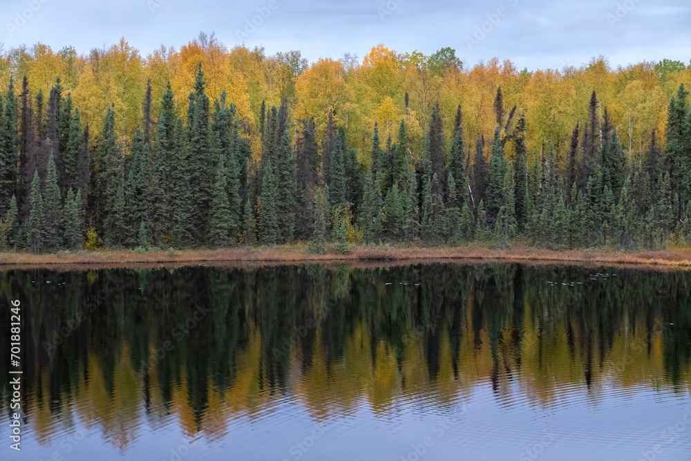 Scenery along the Alaska Railroad from Anchorage to Denali, Alaska